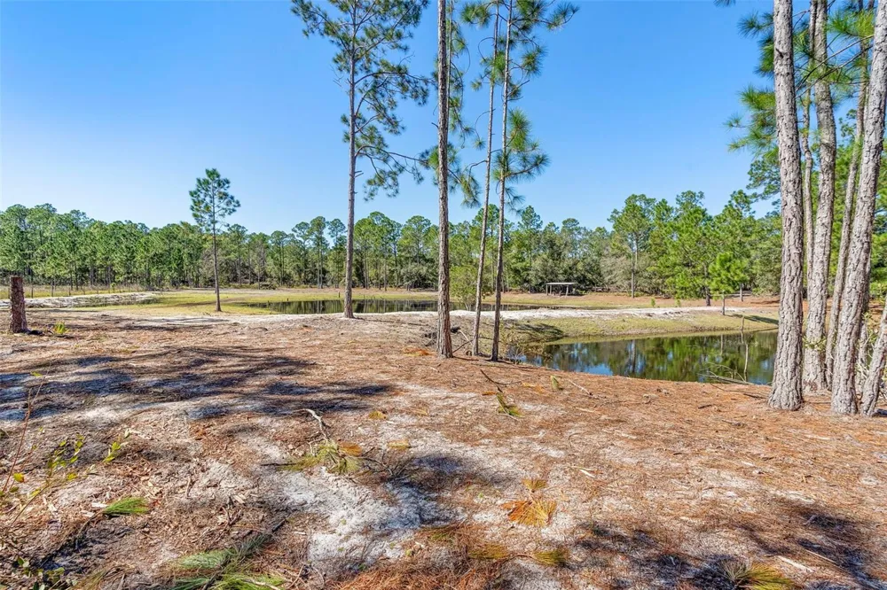 DEEP WOODS ROAD Paisley, FL 32767
