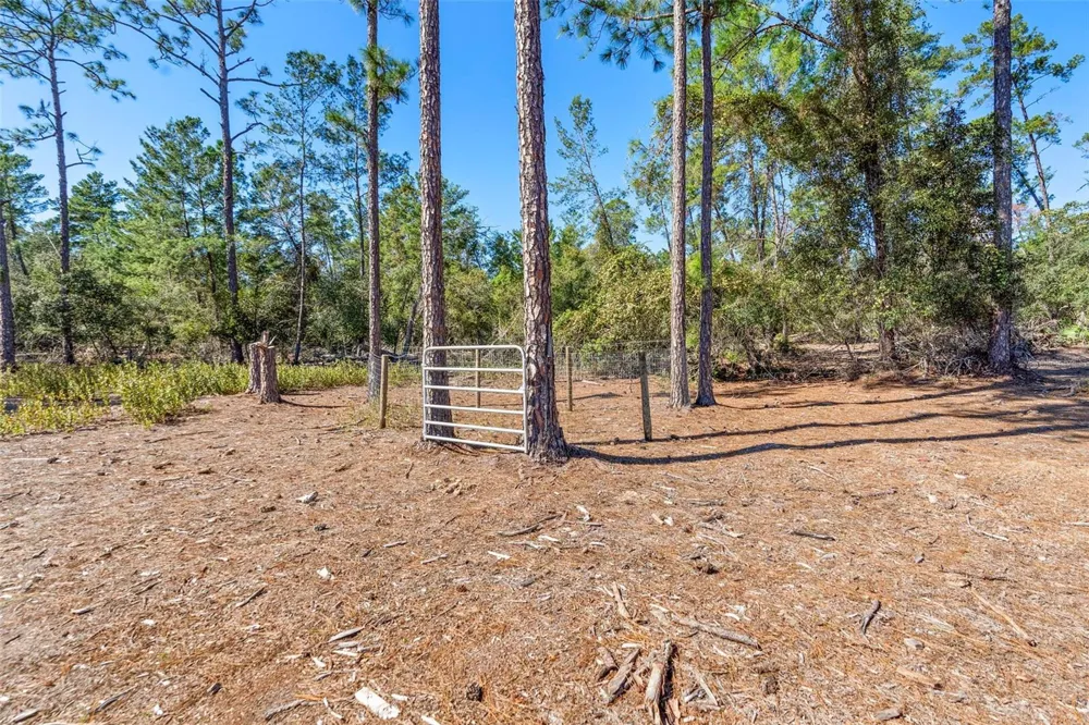 DEEP WOODS ROAD Paisley, FL 32767