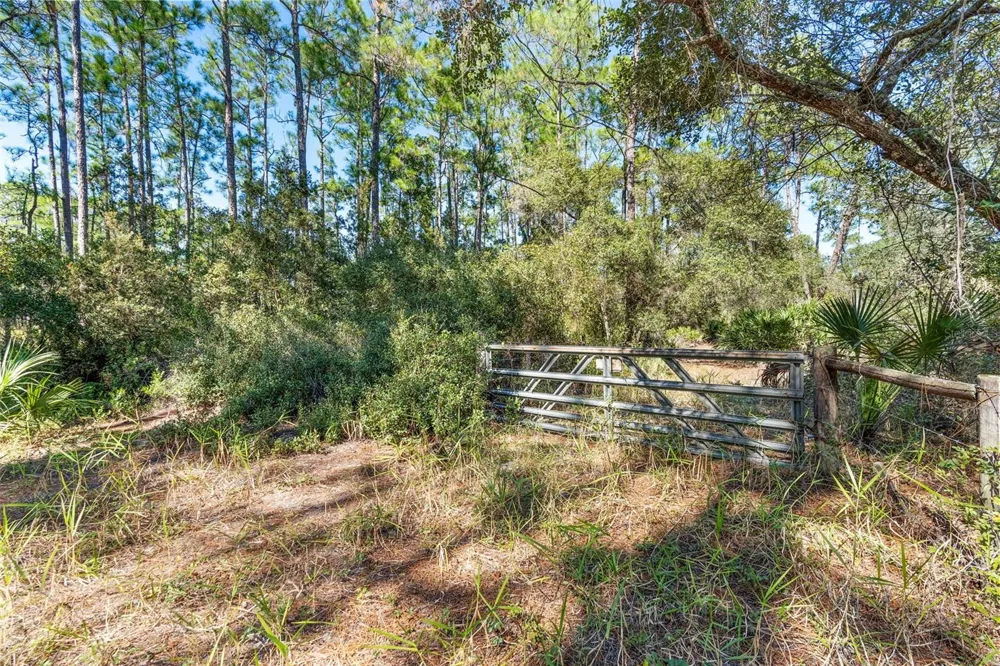 DEEP WOODS ROAD Paisley, FL 32767