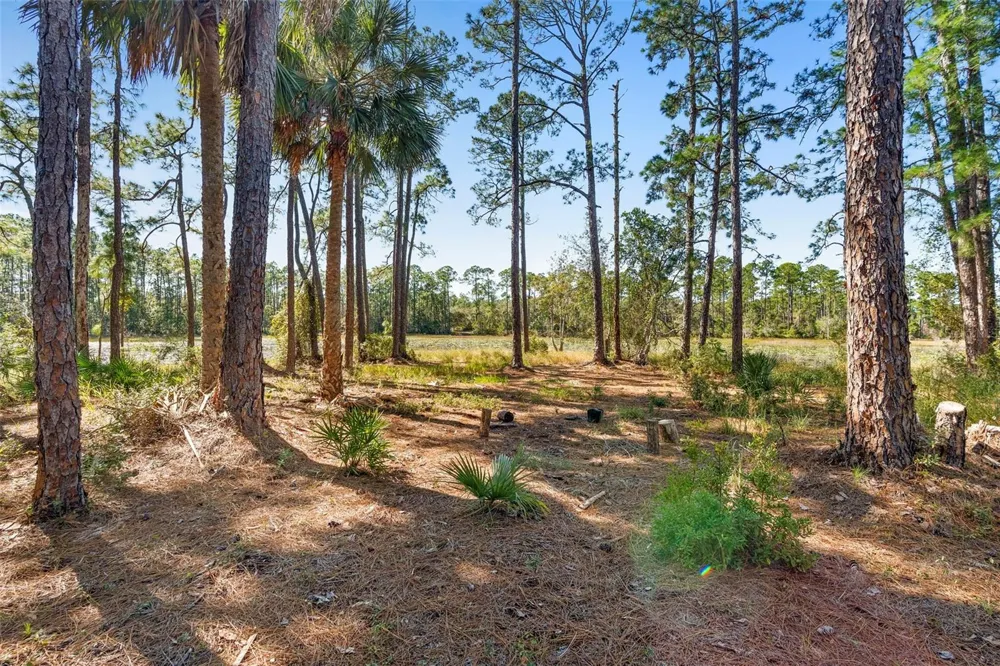 DEEP WOODS ROAD Paisley, FL 32767