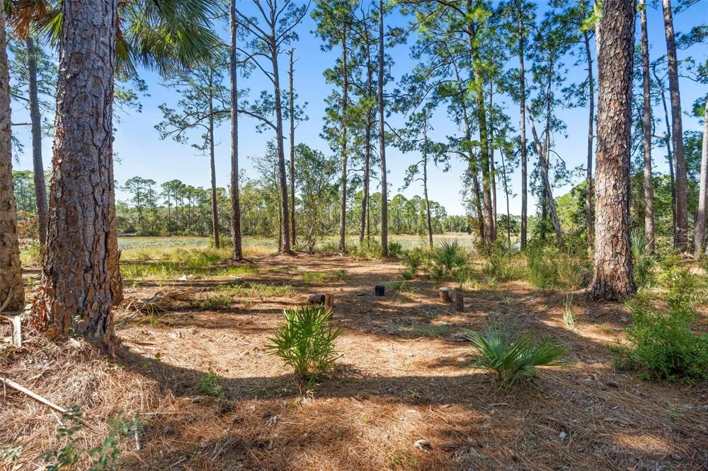 DEEP WOODS ROAD Paisley, FL 32767