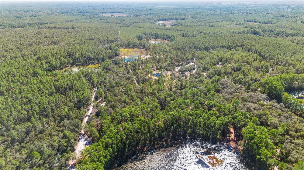 DEEP WOODS ROAD Paisley, FL 32767