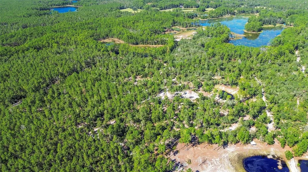 DEEP WOODS ROAD Paisley, FL 32767