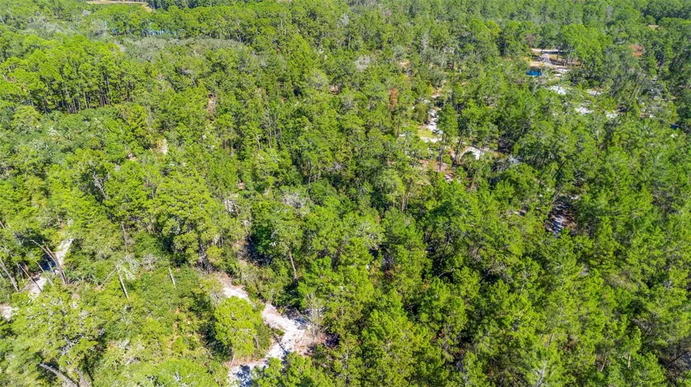 DEEP WOODS ROAD Paisley, FL 32767