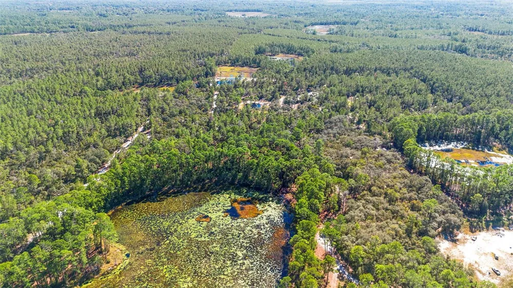 DEEP WOODS ROAD Paisley, FL 32767