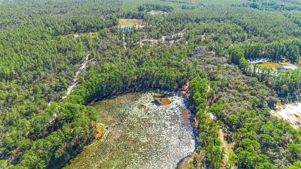 DEEP WOODS ROAD Paisley, FL 32767