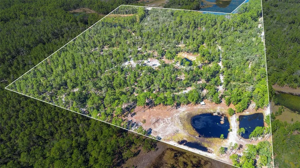 DEEP WOODS ROAD Paisley, FL 32767