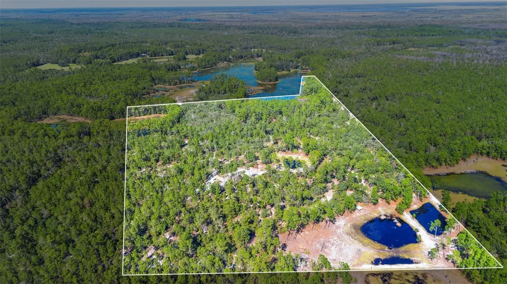 DEEP WOODS ROAD Paisley, FL 32767