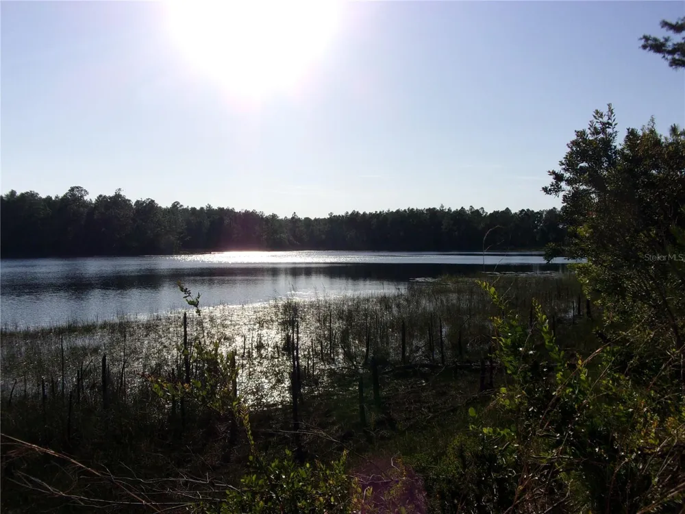DEEP WOODS ROAD Paisley, FL 32767