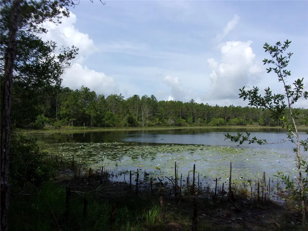 DEEP WOODS ROAD Paisley, FL 32767