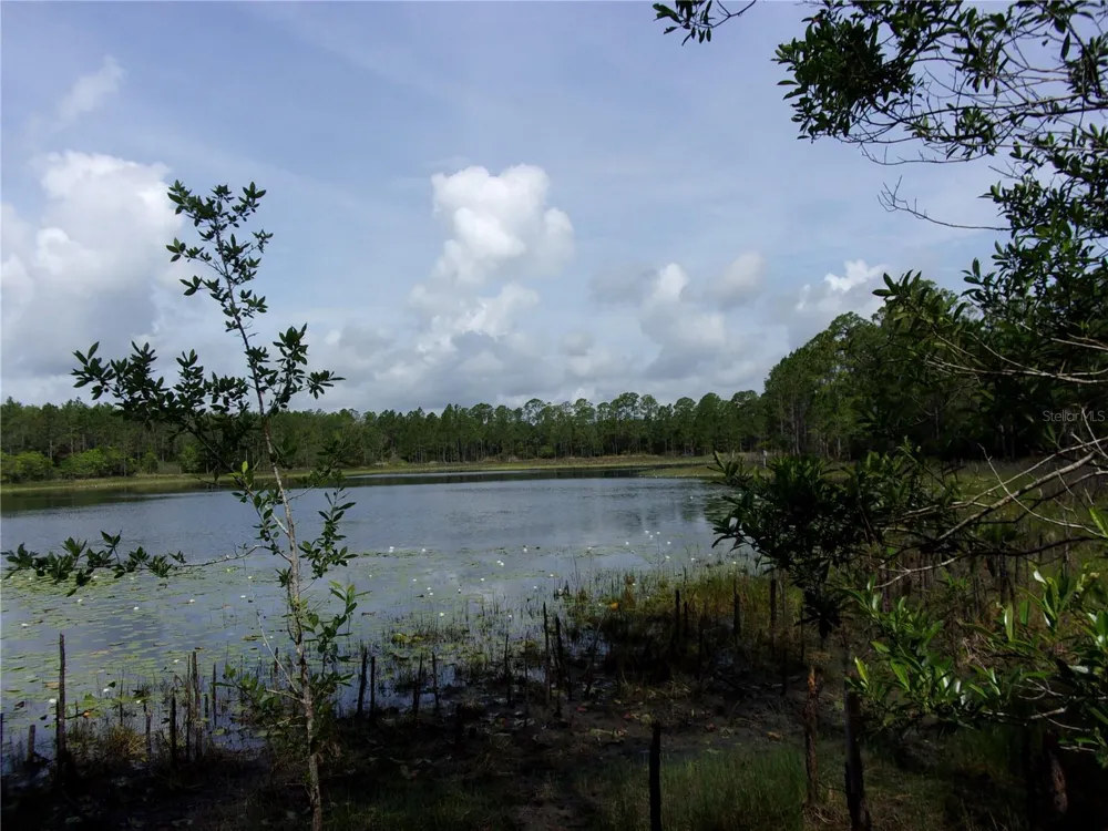 DEEP WOODS ROAD Paisley, FL 32767