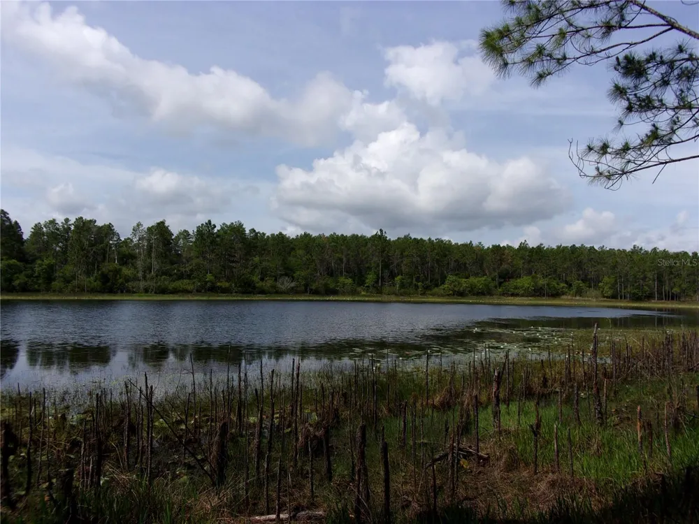 DEEP WOODS ROAD Paisley, FL 32767