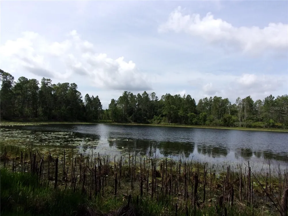 DEEP WOODS ROAD Paisley, FL 32767