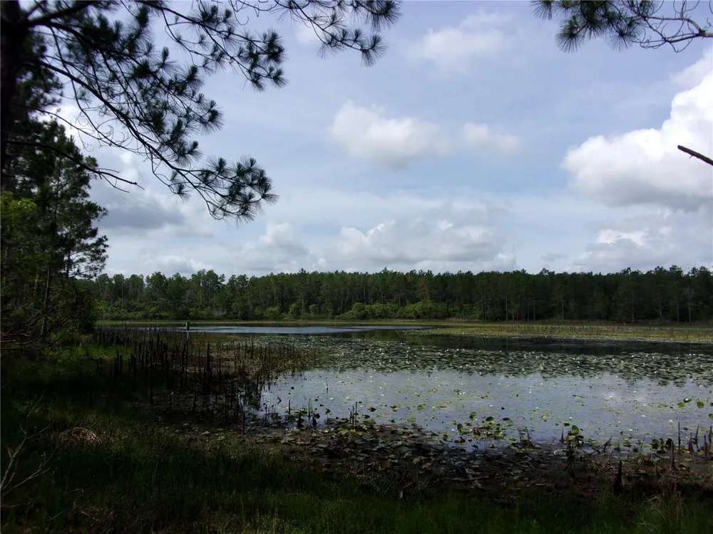 DEEP WOODS ROAD Paisley, FL 32767