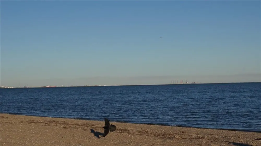 3938 Surfside Boulevard #3222 Corpus Christi, TX 78402