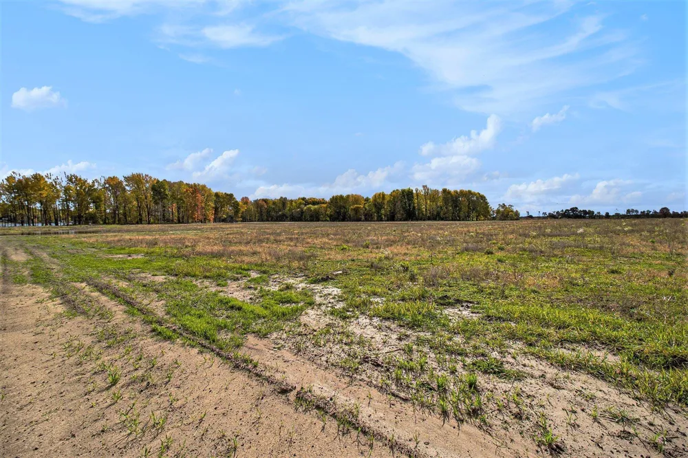 Hogenson Scottville, MI 49454