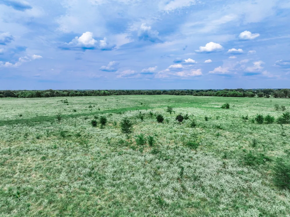 FM 71 Highway Talco, TX 75487