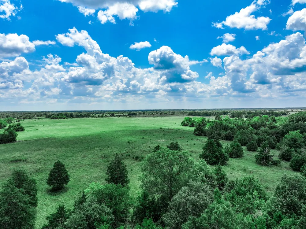 FM 71 Highway Talco, TX 75487