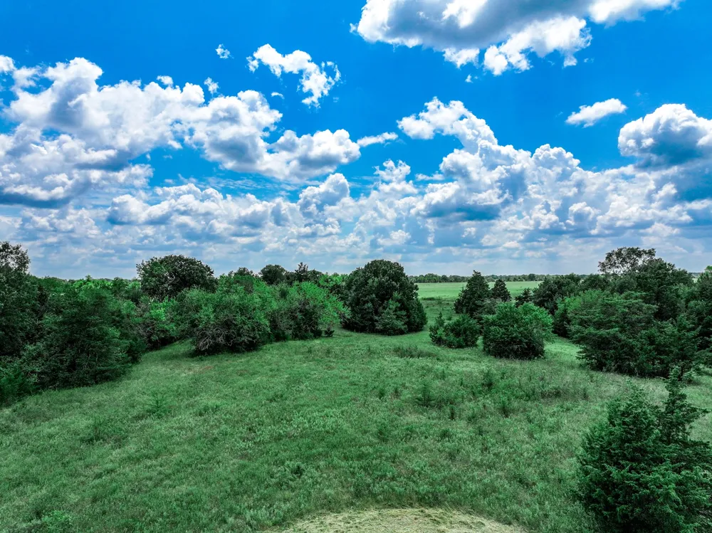 FM 71 Highway Talco, TX 75487