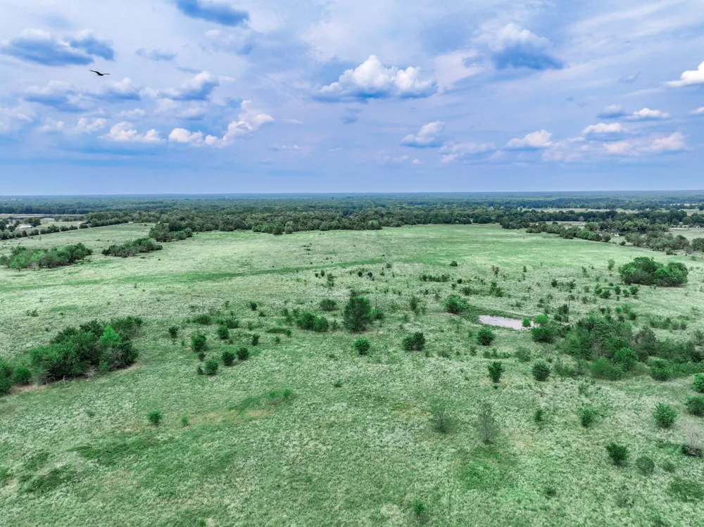 FM 71 Highway Talco, TX 75487