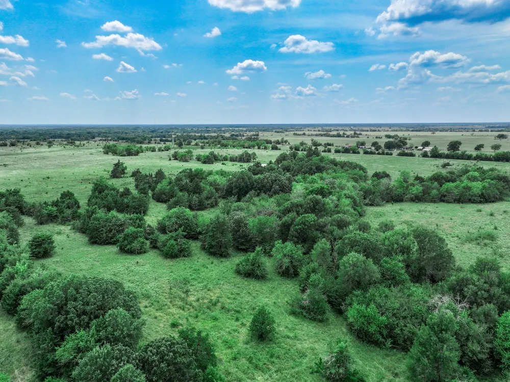 FM 71 Highway Talco, TX 75487