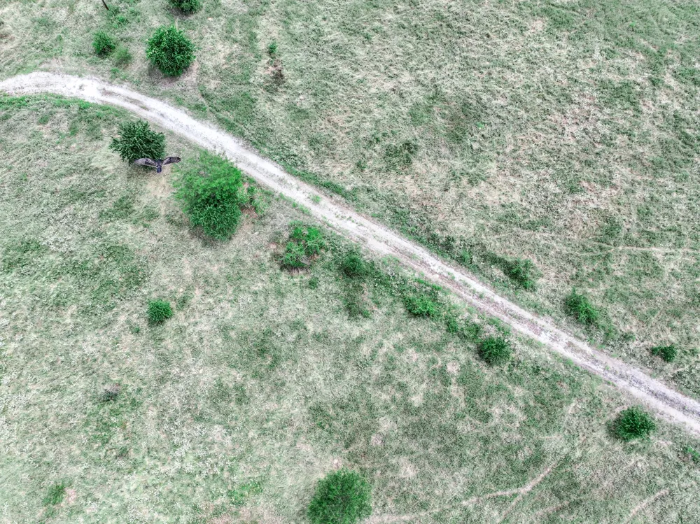 FM 71 Highway Talco, TX 75487