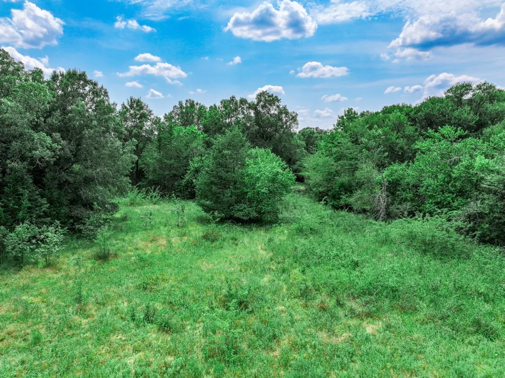 FM 71 Highway Talco, TX 75487