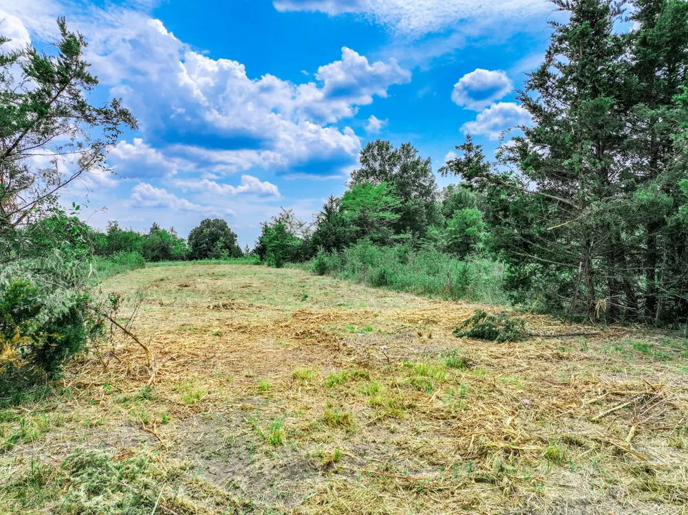 FM 71 Highway Talco, TX 75487