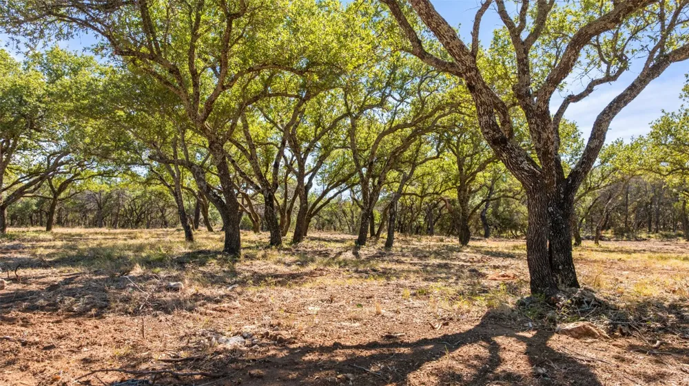 2560 Towhead Valley Road Johnson City, TX 78636