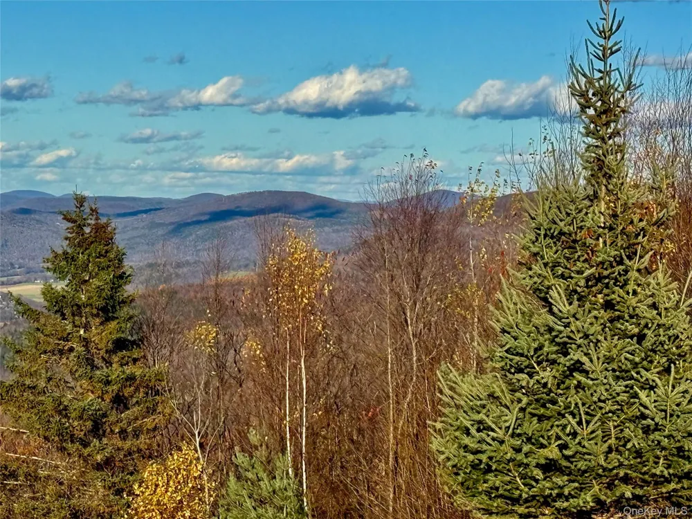 670 Marys Way Walton, NY 13856
