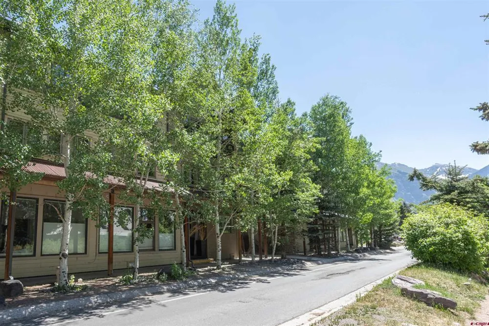 791 W Pacific Avenue #4H Telluride, CO 81435