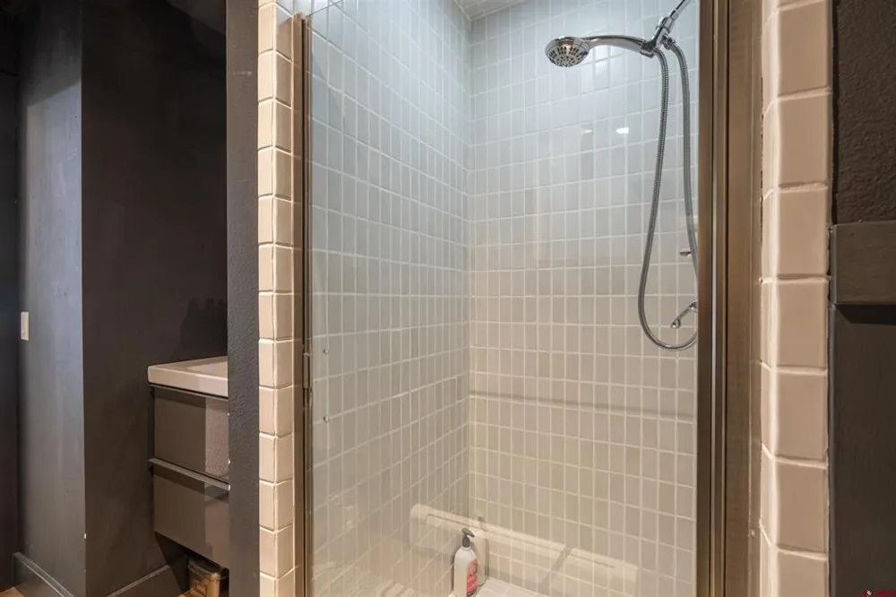 791 W Pacific Avenue #4H Telluride, CO 81435