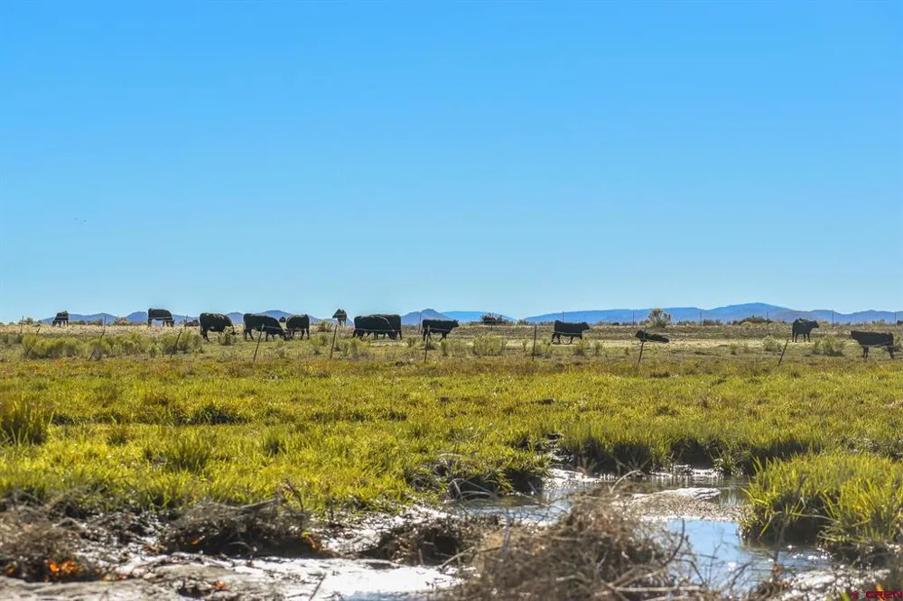 County Road 15.5 Blanca, CO 81123