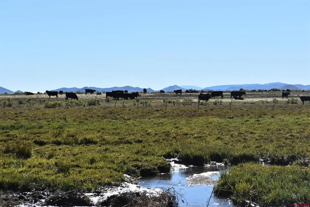 County Road 15.5 Blanca, CO 81123