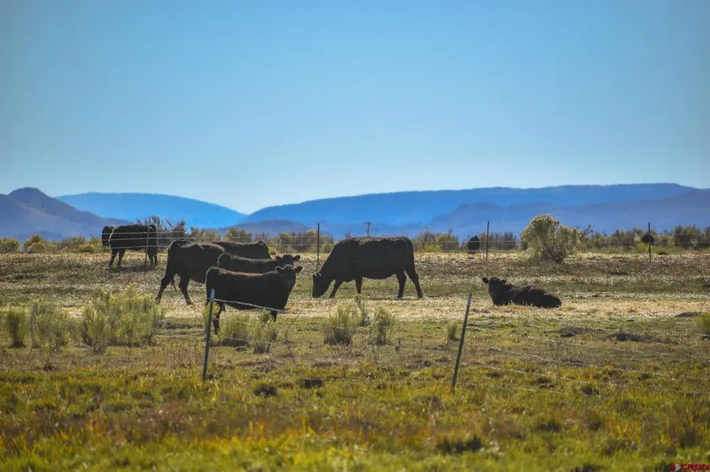 County Road 15.5 Blanca, CO 81123