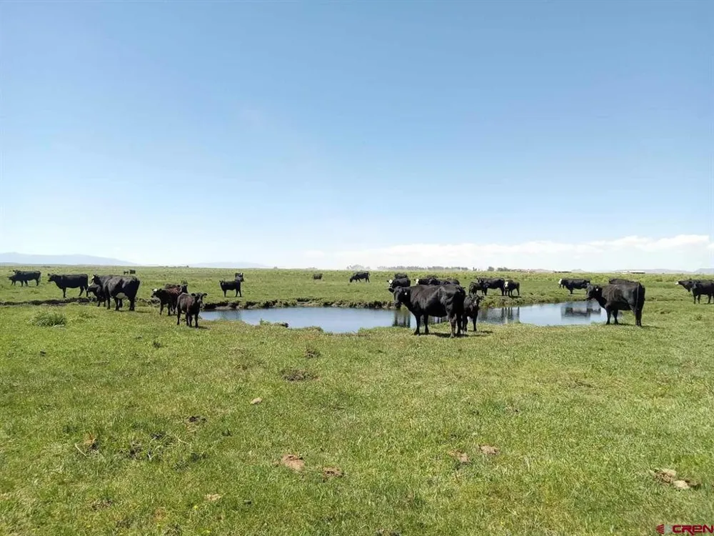 County Road 15.5 Blanca, CO 81123