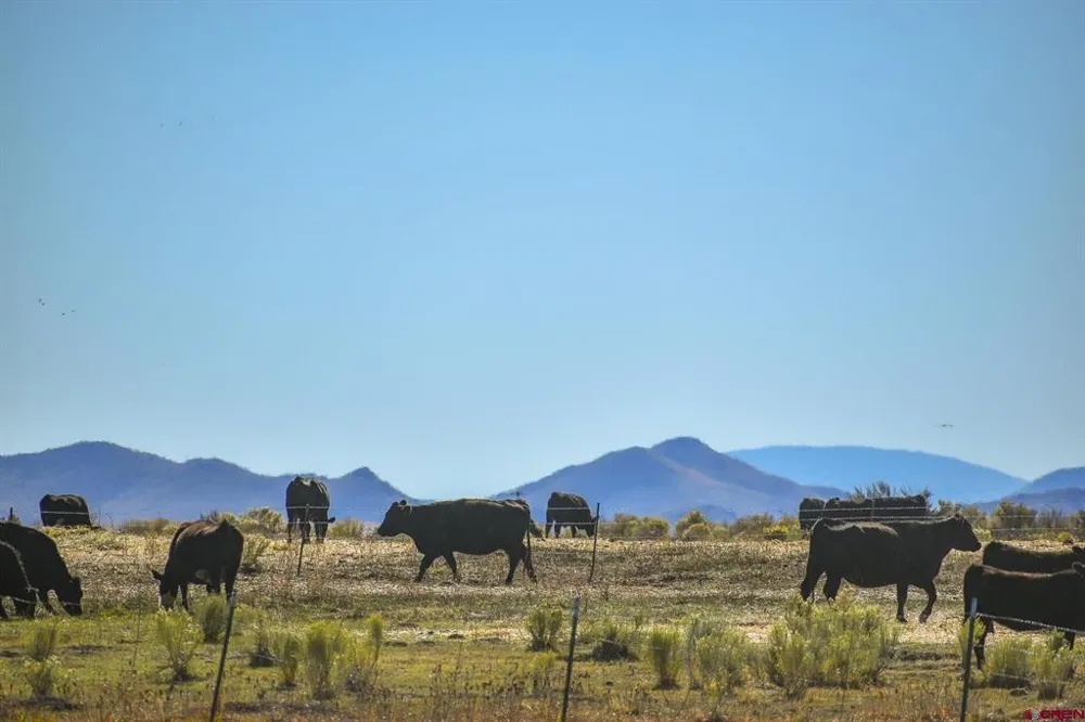 County Road 15.5 Blanca, CO 81123