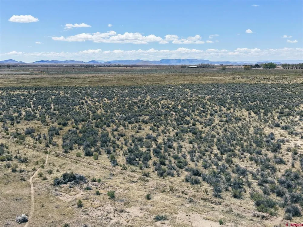 County Road 15.5 Blanca, CO 81123