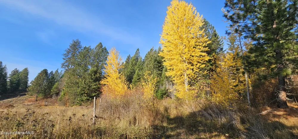 125 Tracker Way Priest River, ID 83856