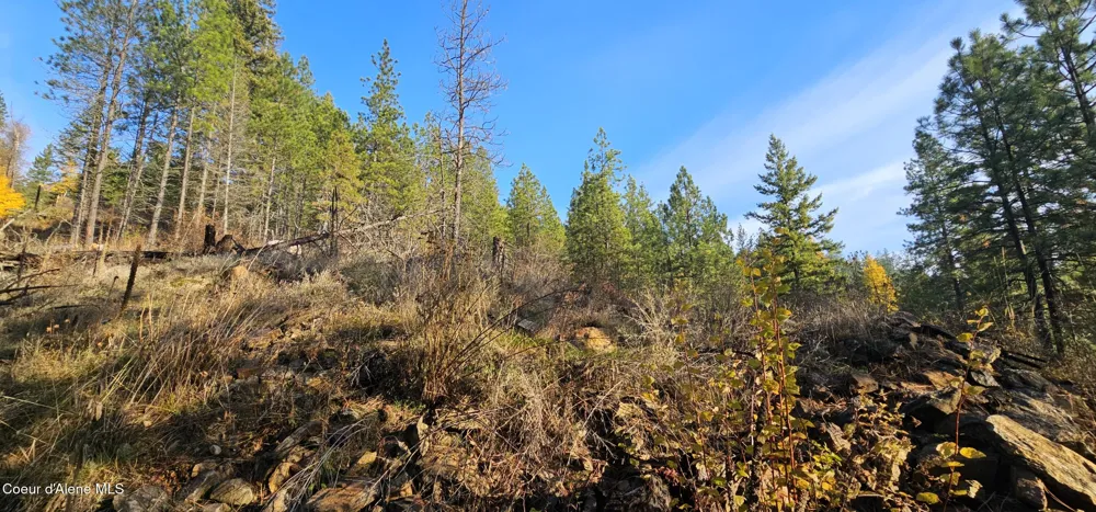 125 Tracker Way Priest River, ID 83856
