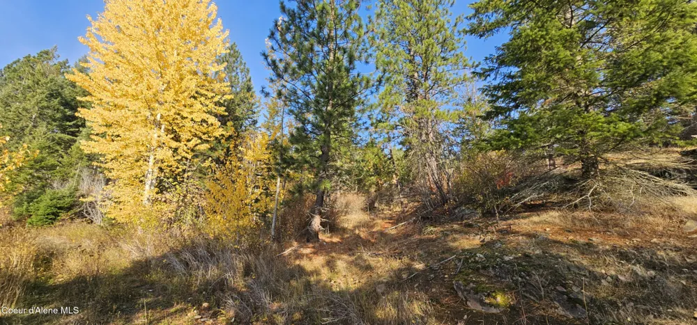 125 Tracker Way Priest River, ID 83856