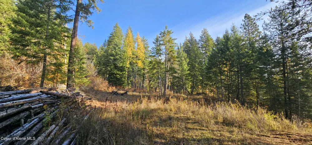 125 Tracker Way Priest River, ID 83856