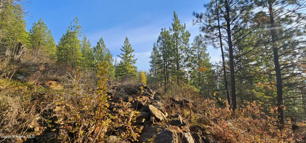 125 Tracker Way Priest River, ID 83856