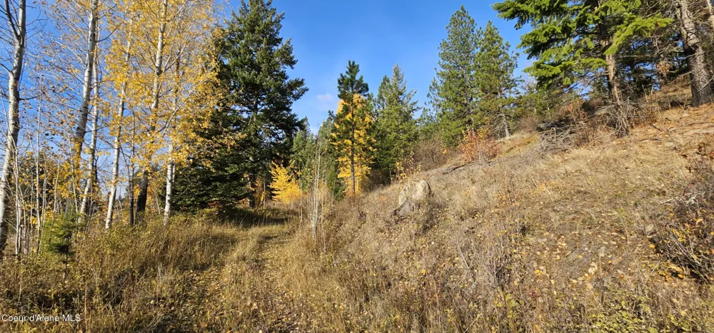 125 Tracker Way Priest River, ID 83856