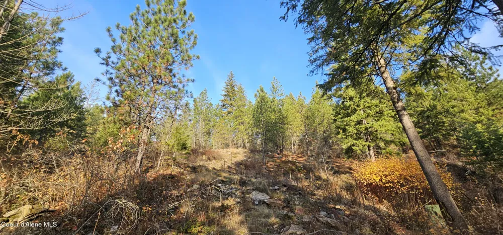 125 Tracker Way Priest River, ID 83856