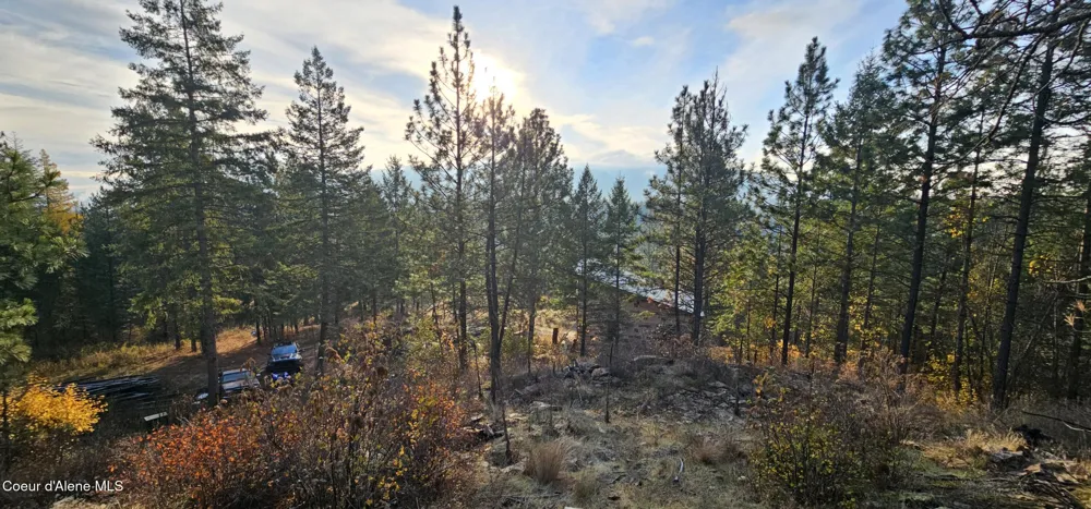 125 Tracker Way Priest River, ID 83856