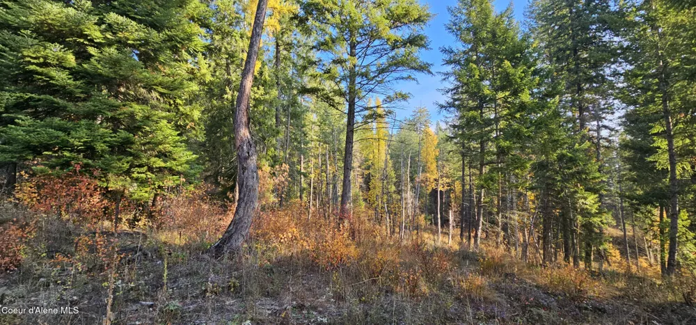 125 Tracker Way Priest River, ID 83856