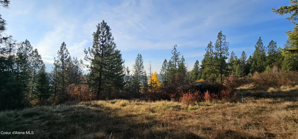 125 Tracker Way Priest River, ID 83856