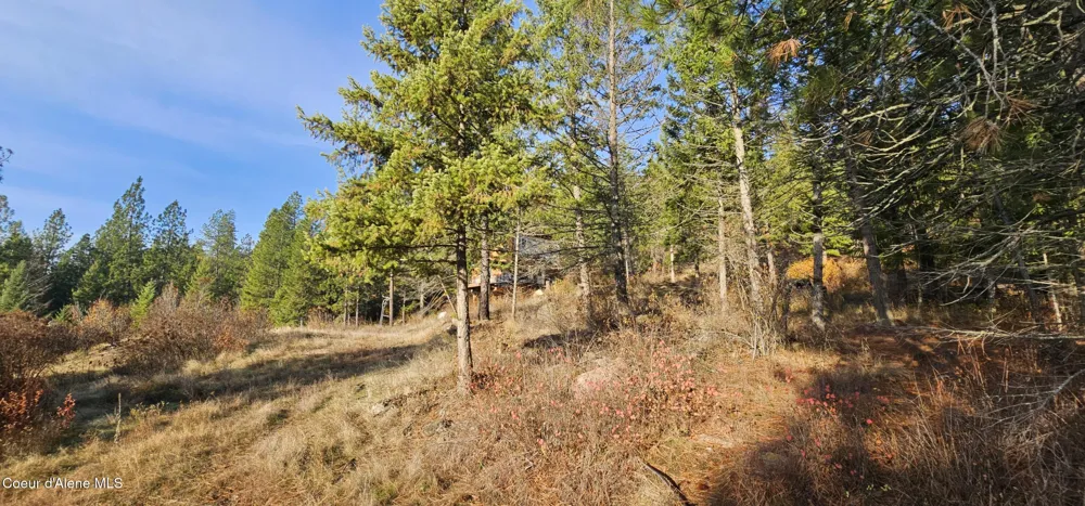 125 Tracker Way Priest River, ID 83856