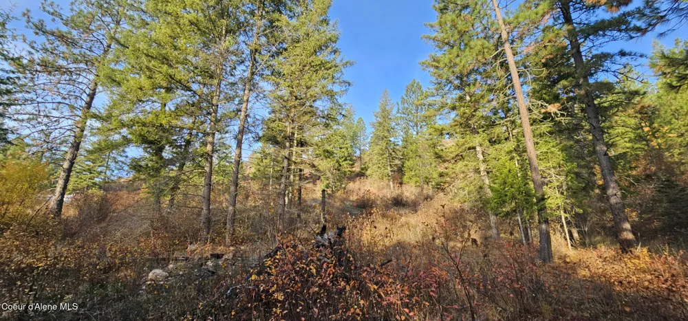 125 Tracker Way Priest River, ID 83856